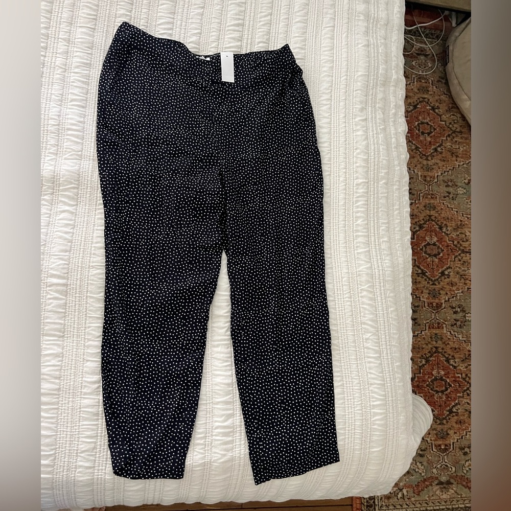 Loft Pants NWT